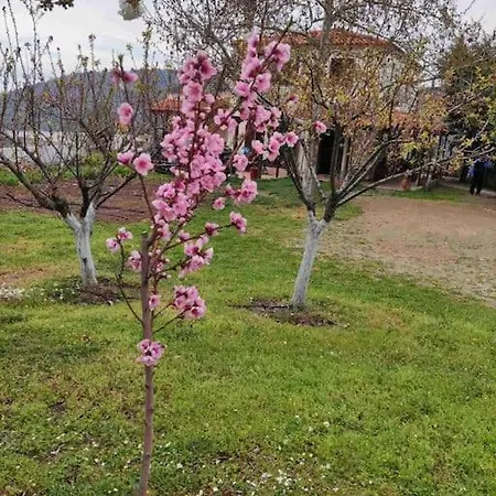 Gerania Holiday home *