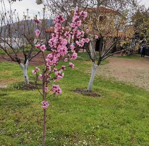 Gerania Σπίτι διακοπών *